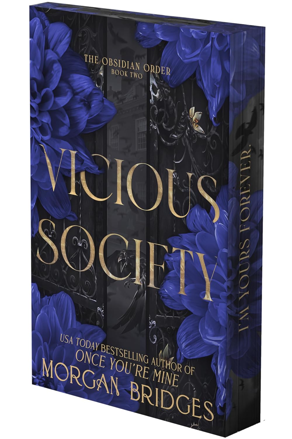 Vicious Society - Morgan Bridges