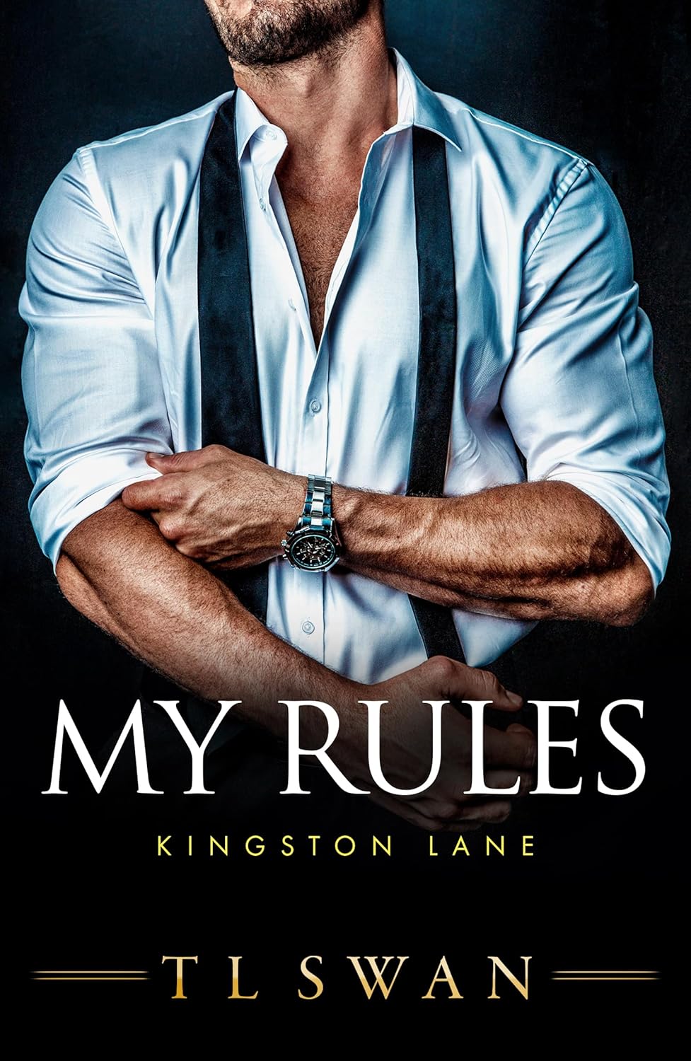 My Rules - TL Swan