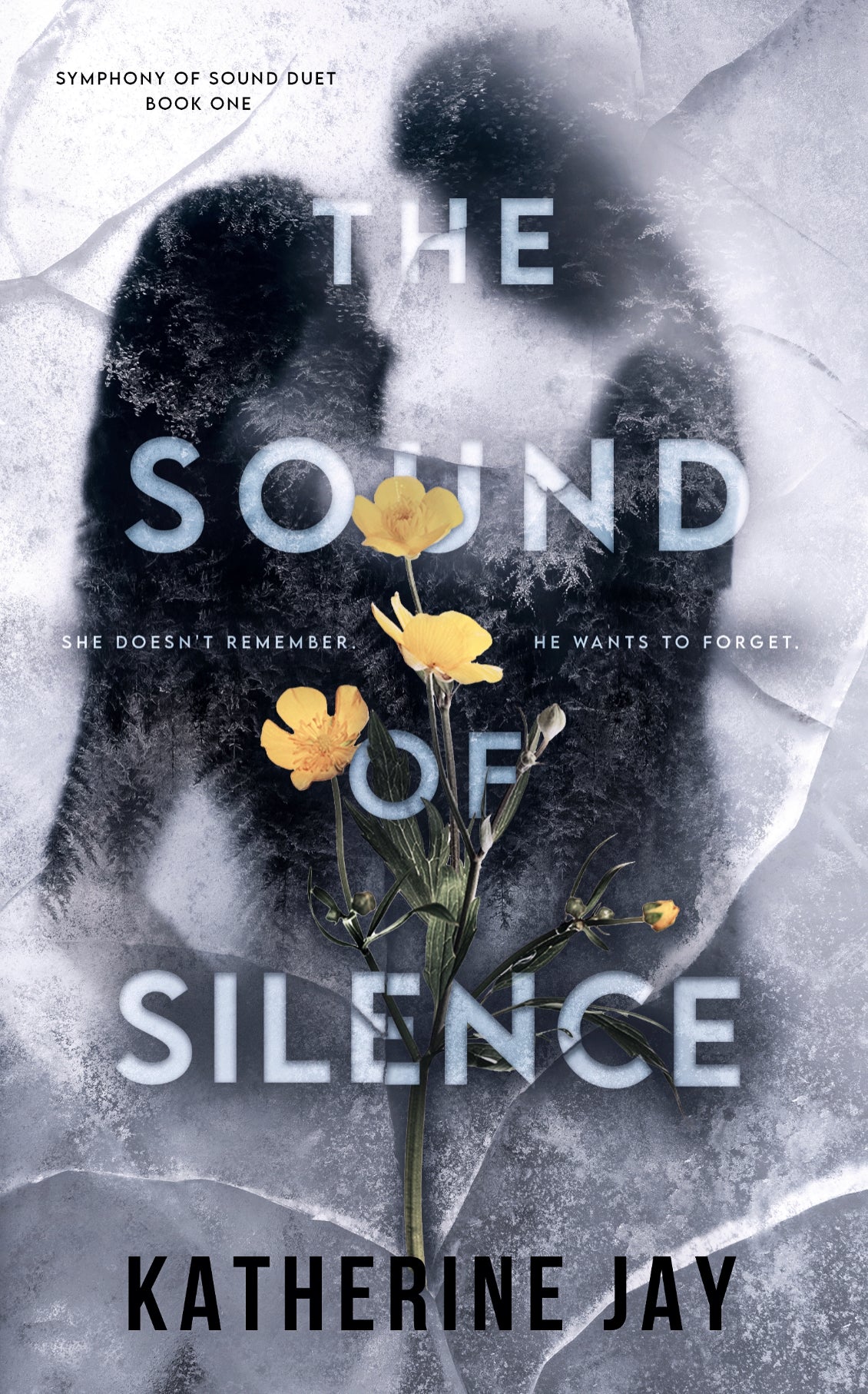 The Sound of Silence - Katherine Jay