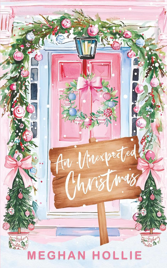 An Unexpected Christmas - Meghan Hollie