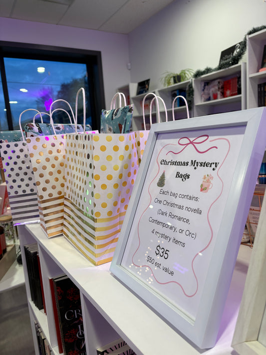 Christmas Mystery Bag