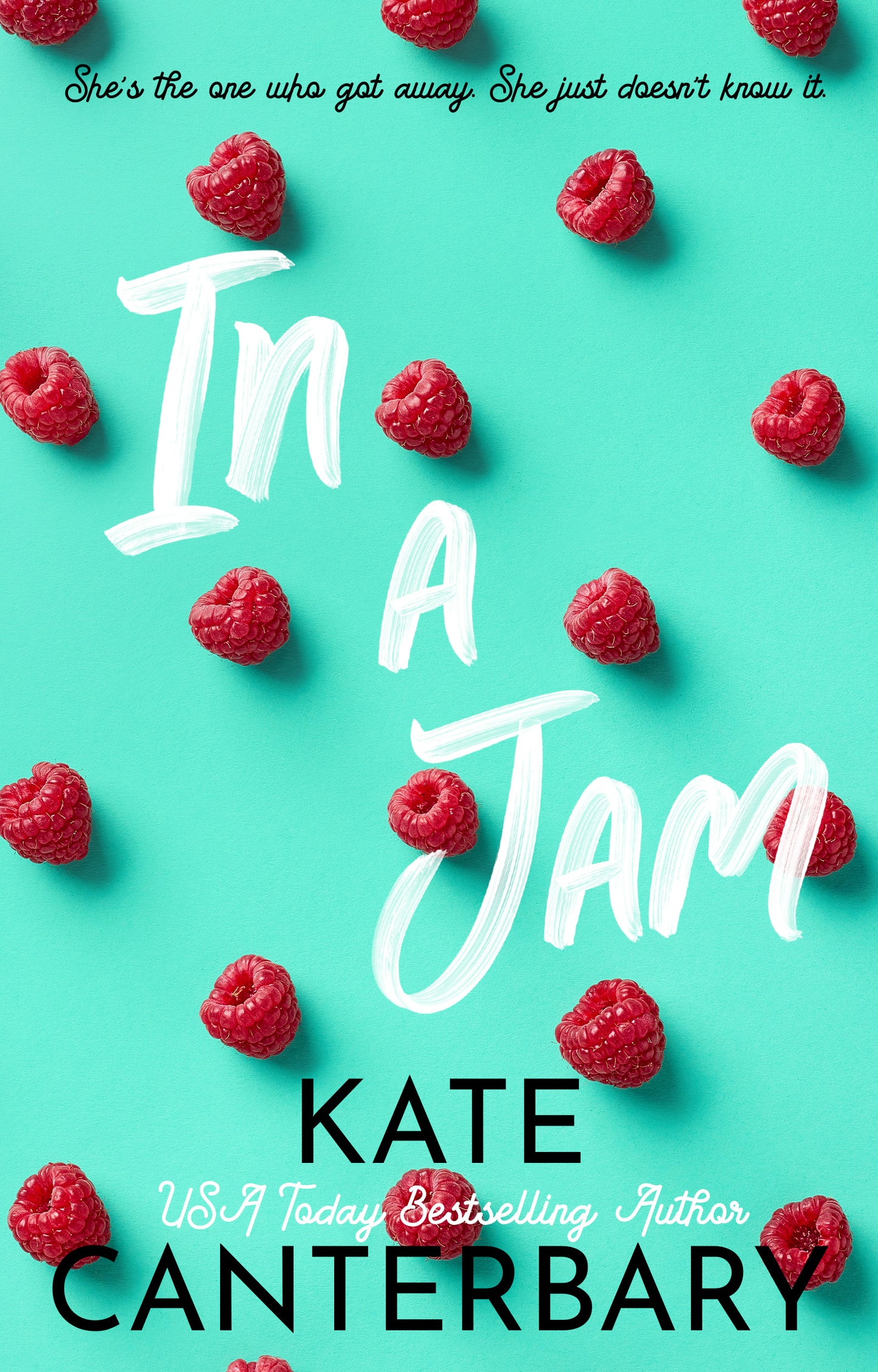 In a Jam - Kate Canterbary